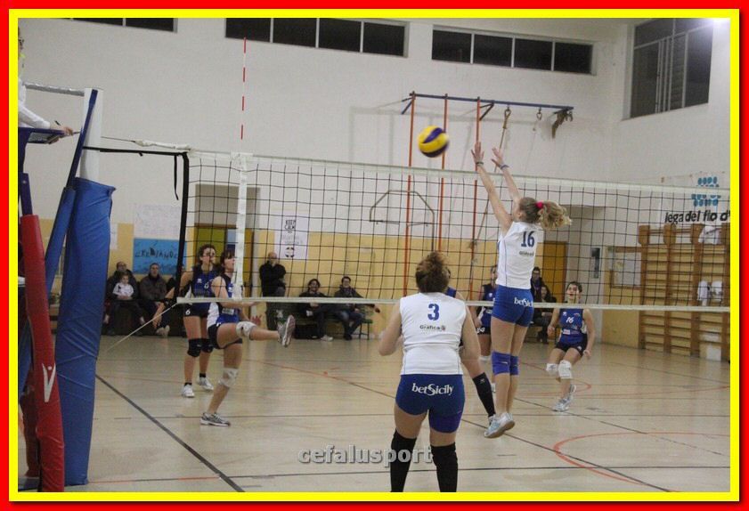 140305 Primula 149_tn.jpg